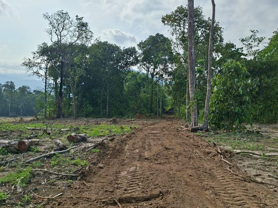 PHOTO-2026-04-04-16-31-22