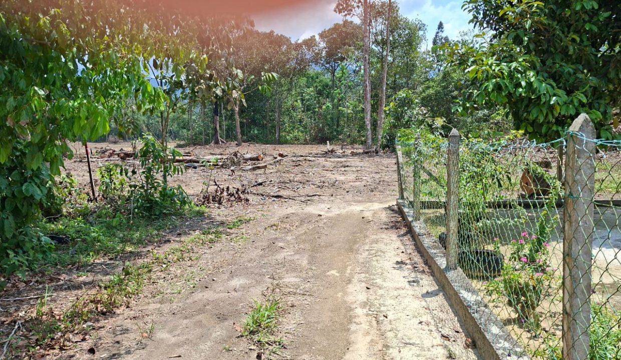 PHOTO-2026-04-04-16-32-01