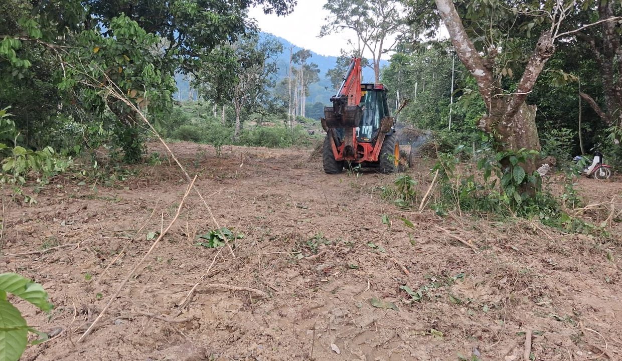 PHOTO-2026-04-04-16-32-43 (1)