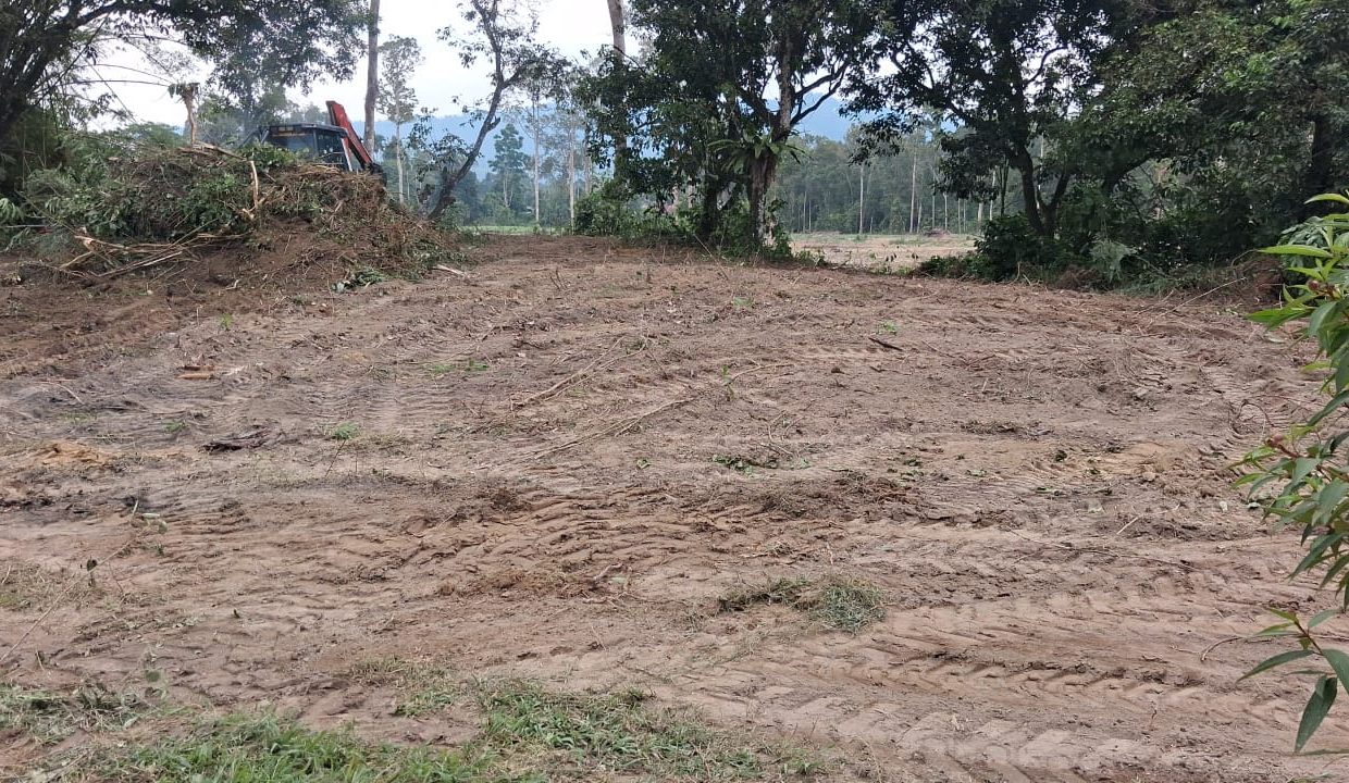 PHOTO-2026-04-04-16-32-43